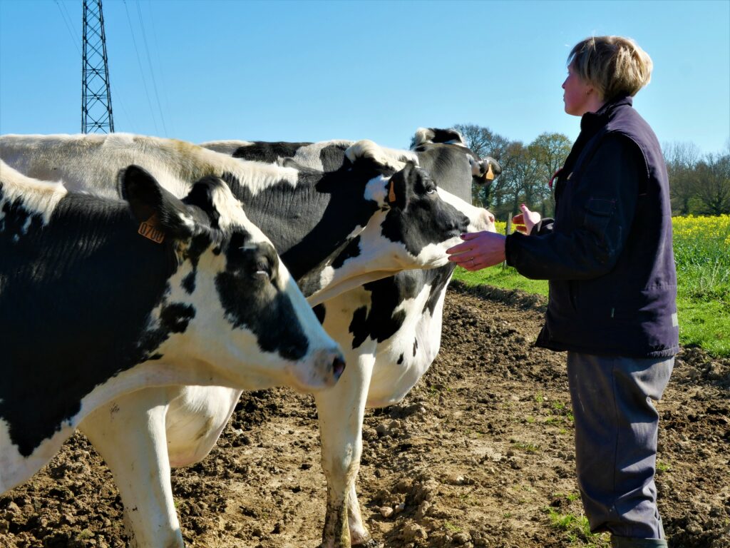 Relation Homme-animal : apprivoiser mais poser des règles, notamment sur les contacts autorisés