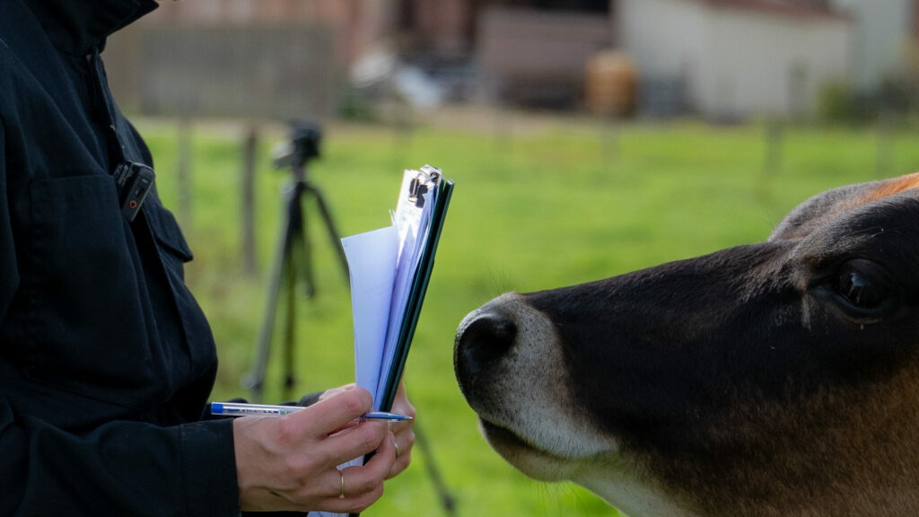 Soyons à l'écoute de ce que les vaches ont à nous dire